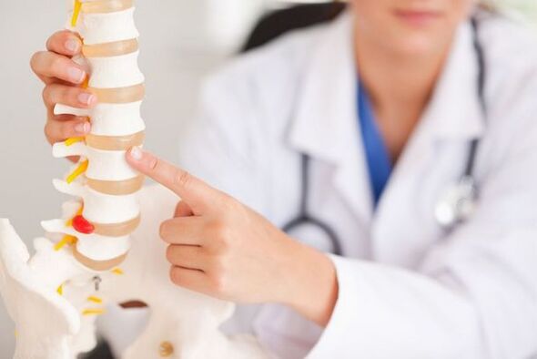 il medico mostra un modello della colonna vertebrale
